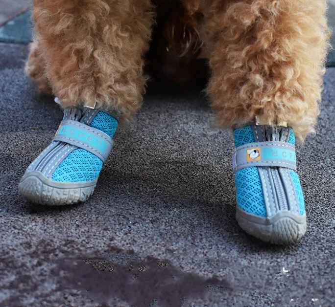 PawPremium All-Terrain Dog Boots